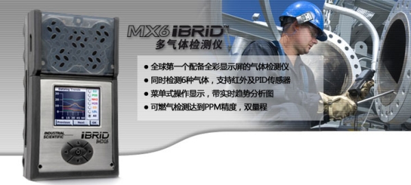 MX6复合气体检测仪